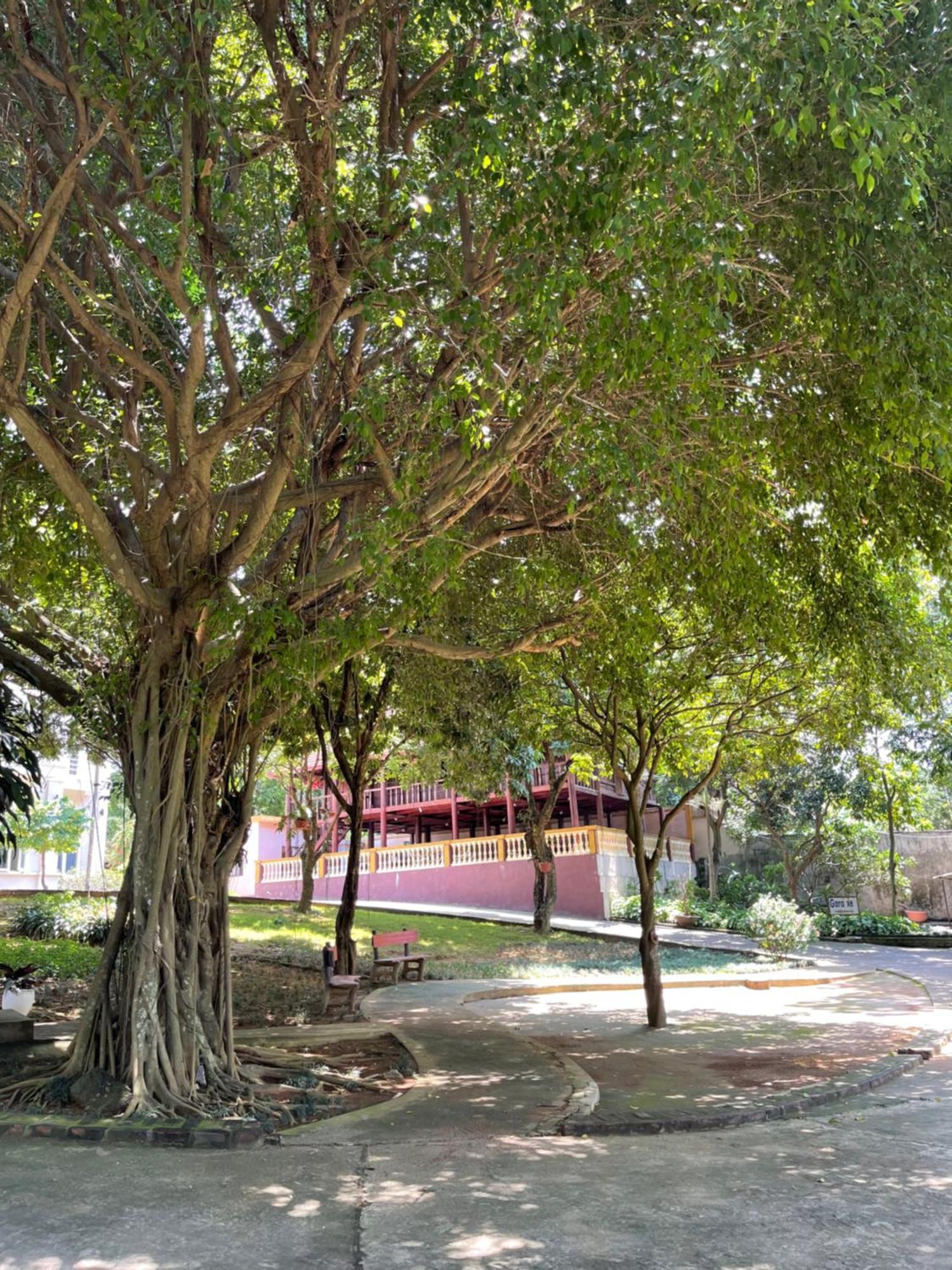 Thien Binh Hotel Hòa Bình Exteriör bild